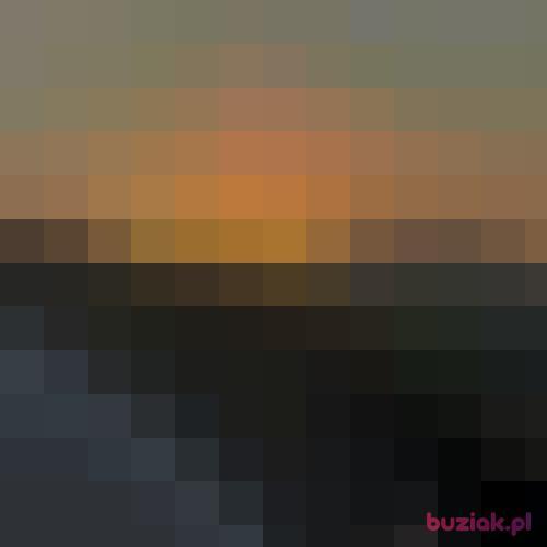 seb17, Male, 49 years, Bielsko-Biała