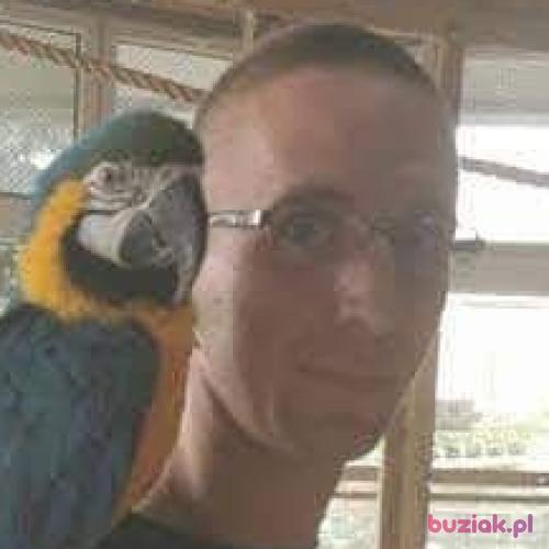 Czarek1709, Male, 33 years, Bydgoszcz