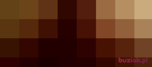 redtom, Mężczyzna, 48 lat, Rotterdam
