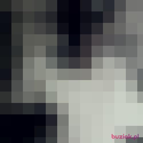 Sztuk-mistrz, Male, 46 years, Wrocław