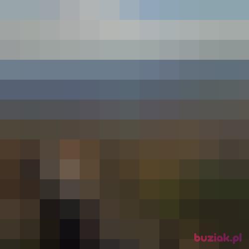 Paulel, Male, 48 years, Bielsko-Biała