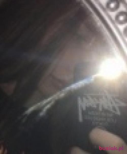 lilbunny, Kobieta, 26 lat, Radomsko