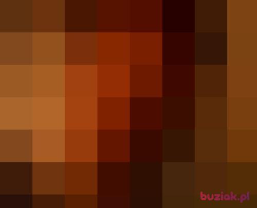 tokiur, Male, 49 years, Bełchatów