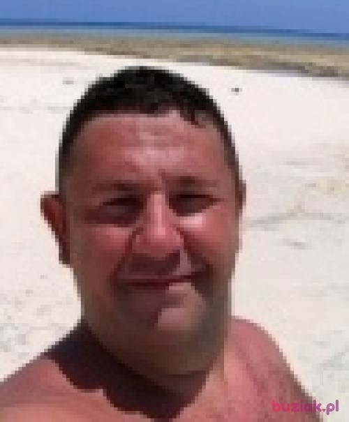 radek911, Male, 41 years, Oława