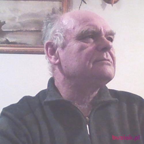 Wiesiek555, Male, 71 years, Warszawa