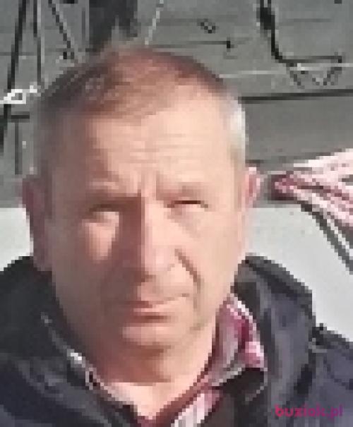 krzy4, Mężczyzna, 65 lat, Jelenia Góra