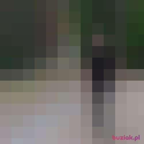 laziczek, Male, 67 years, Kołobrzeg