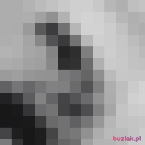 Bezimienny1996, Male, 29 years, Amersfoort
