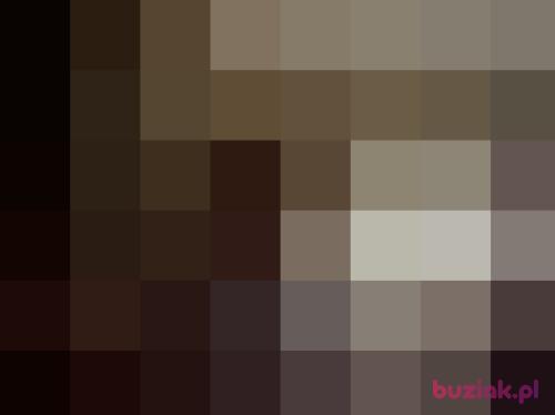 romaroza, Female, 71 years, Bytom