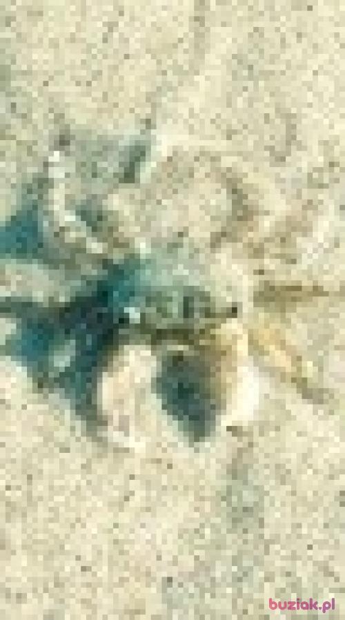 jedrek15, Male, 59 years, Dąbrowa Górnicza