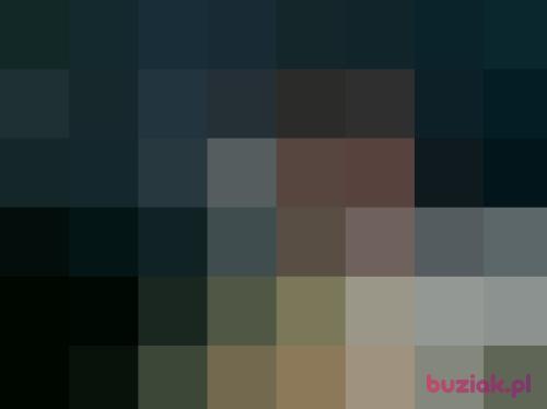 bimol56, Male, 68 years, Warszawa