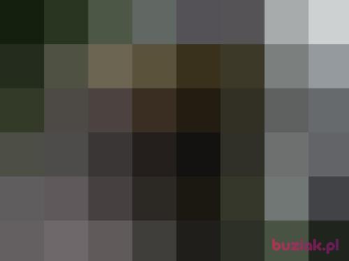 Max30Gliwice, Male, 48 years, Gliwice