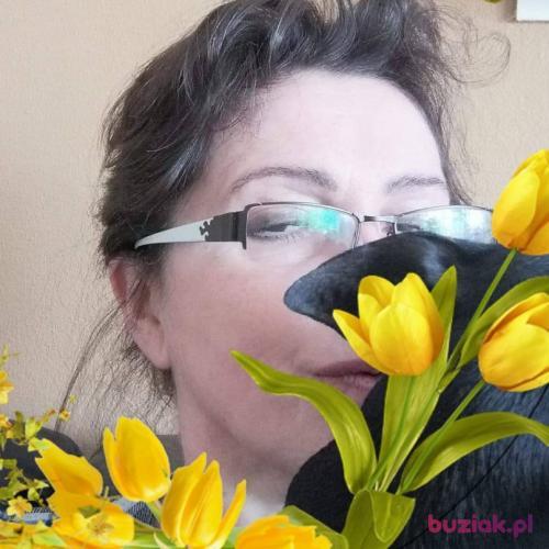 smart1, Female, 65 years, Haarlem