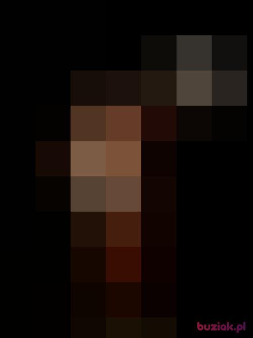 polloloco, Male, 46 years, Geldria