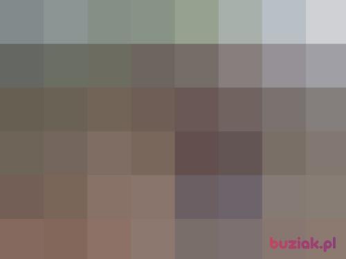 adam555, Male, 53 years, Zabrze