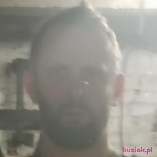 grzesik81n, Male, 42 years, Jarosław