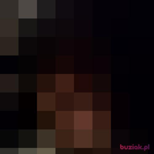 Hasky11, Male, 28 years, Tilburg