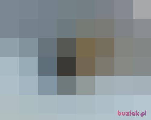 on33on, Mężczyzna, 42 lata, Olsztyn
