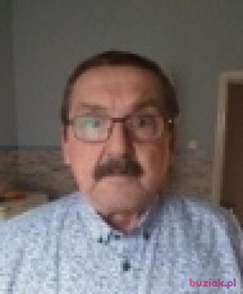 Wlodek66k, Male, 74 years, Grodzisk Wielkopolski