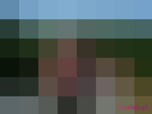 gregorek30, Male, 41 years, Racibórz