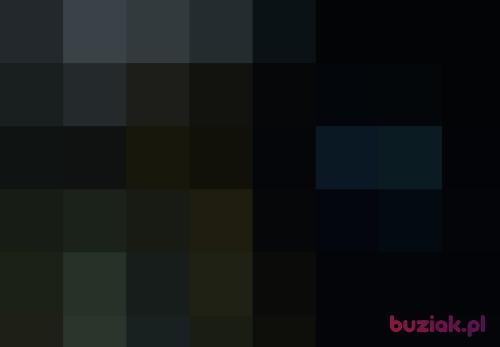tomekq1, Male, 41 years, Bydgoszcz
