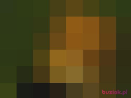 Krzysiek234kr, Male, 31 years, Kielce