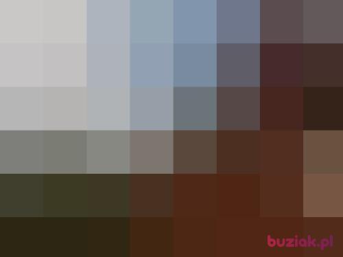 promos, Male, 53 years, Głogów