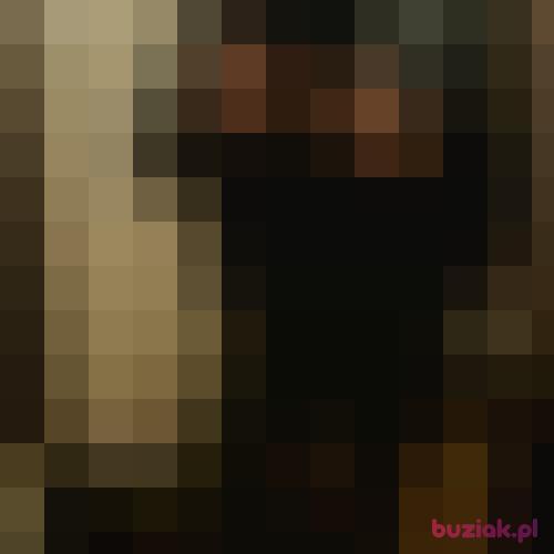 K80, Male, 45 years, Zwolle