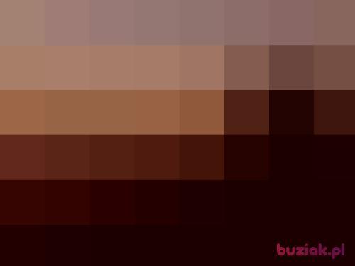 konsul73, Male, 53 years, Łomża