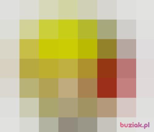 DavidXDM, Male, 34 years, Golub-Dobrzyń