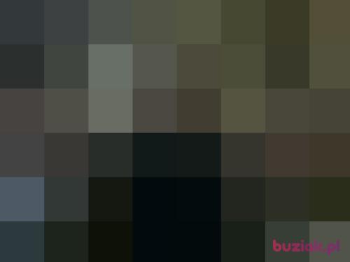 sabu, Male, 42 years, Grodzisk Wielkopolski