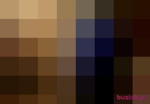genius1337, Male, 29 years, Bydgoszcz