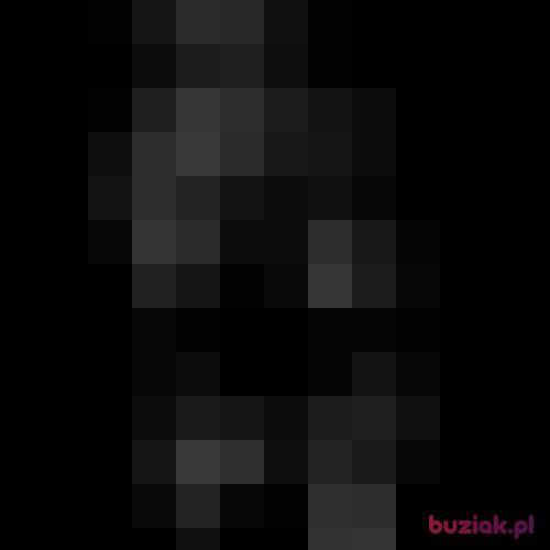 Wojtula38, Male, 40 years, Nijmegen