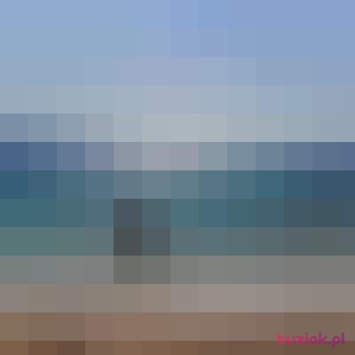 Shark-TECHnik, Male, 34 years, Amersfoort