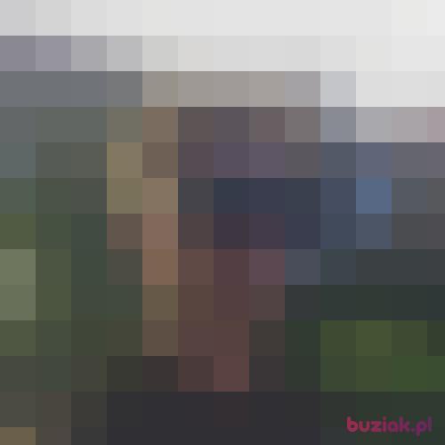 Blumix123, Male, 27 years, Stade