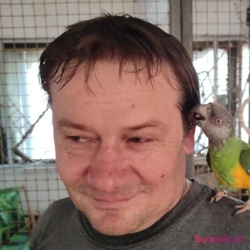tomluz, Male, 53 years, Zawiercie