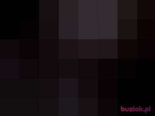 nerill, Male, 35 years, Wolsztyn