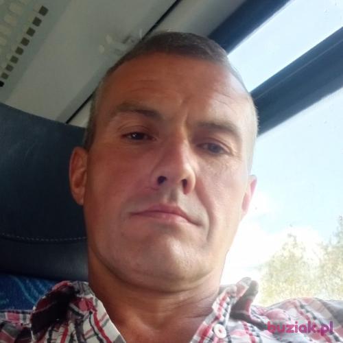 hiszpan80, Male, 46 years, Gromitz