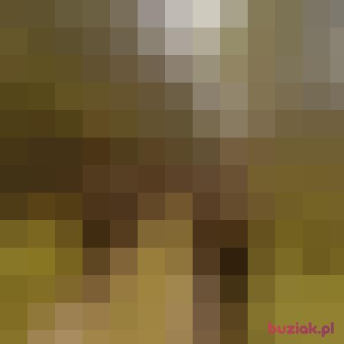 lakiluk34, Male, 38 years, Augustów