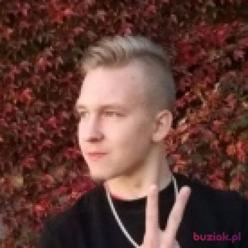 DawidAkaPrawol, Male, 24 years, Żory