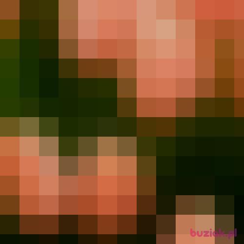 Abibi, Female, 47 years, Wrocław