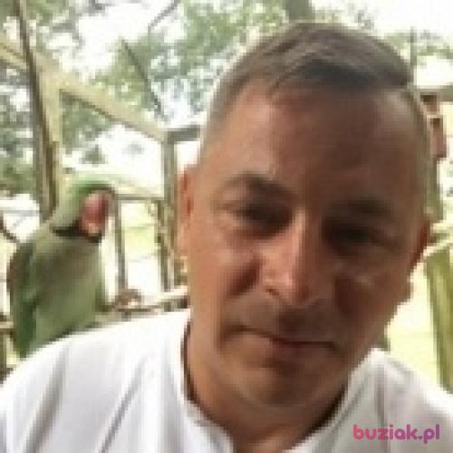 aleksanderhot2, Male, 43 years, Leicester