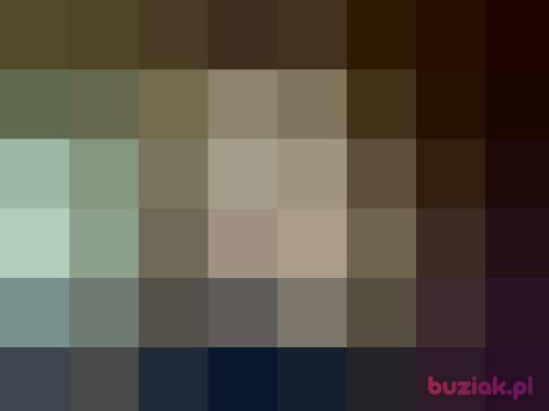 Belleesprit, Female, 36 years, Bydgoszcz