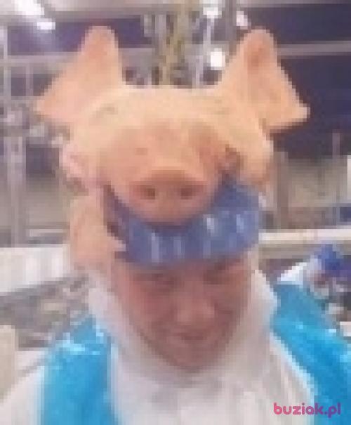 eli889, Mężczyzna, 37 lat, kujawsko-pomorskie