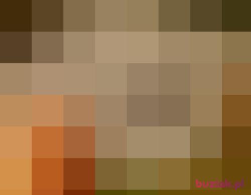 SYLVIA35, Female, 42 years, mazowieckie