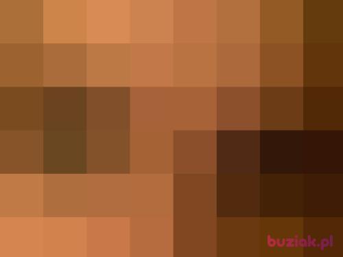 Wisienka91, Female, 35 years, Bytom