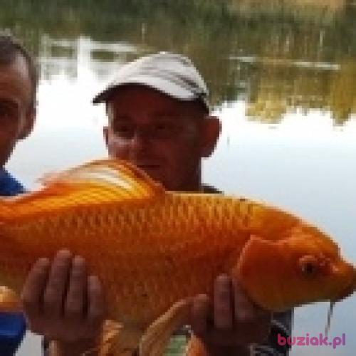 Marko12121, Male, 45 years, Nowy Dwór Mazowiecki