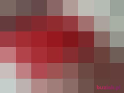 arekszelemej, Male, 42 years, Piaseczno