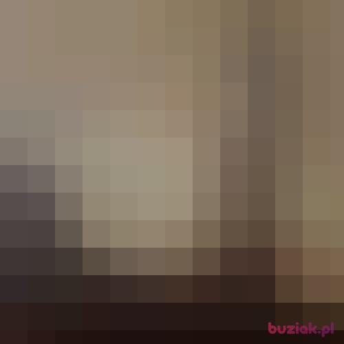 paddy1991, Male, 35 years, Barnsley