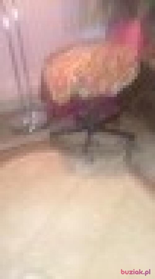 jazbigniew2, Male, 48 years, Lubań